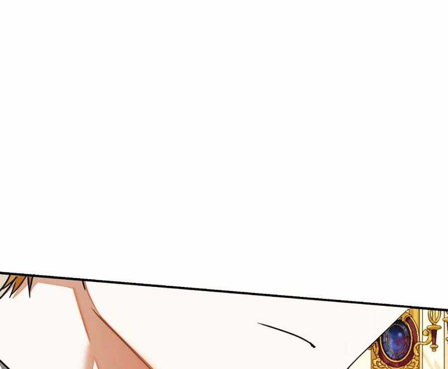 Sự Ra Đời Của Một Anh Hùng Chapter 113 trang 108