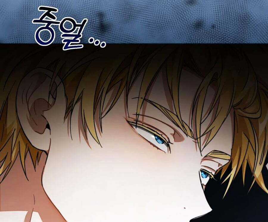 Sự Ra Đời Của Một Anh Hùng Chapter 113 trang 111