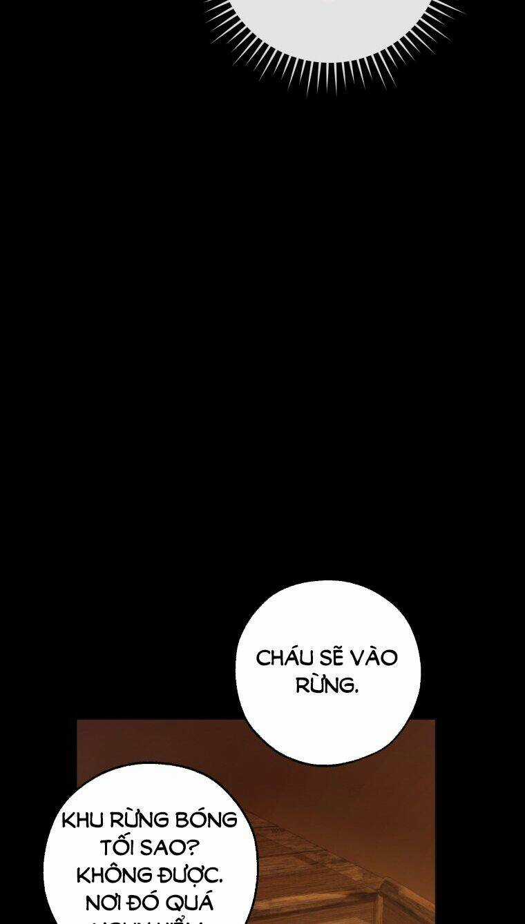 Sự Ra Đời Của Một Anh Hùng Chapter 115.1 trang 20