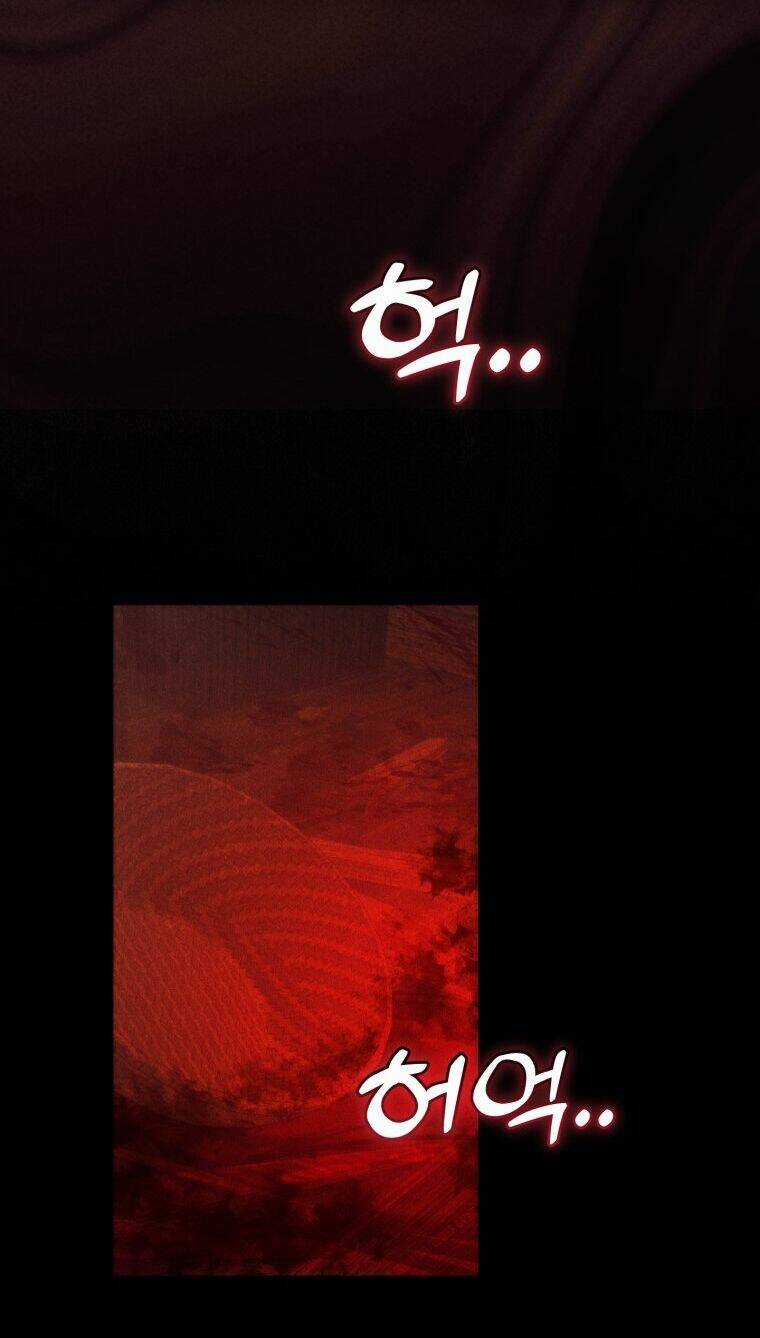 Sự Ra Đời Của Một Anh Hùng Chapter 115.1 trang 25