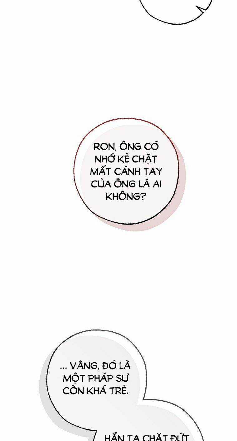 Sự Ra Đời Của Một Anh Hùng Chapter 115.1 trang 41