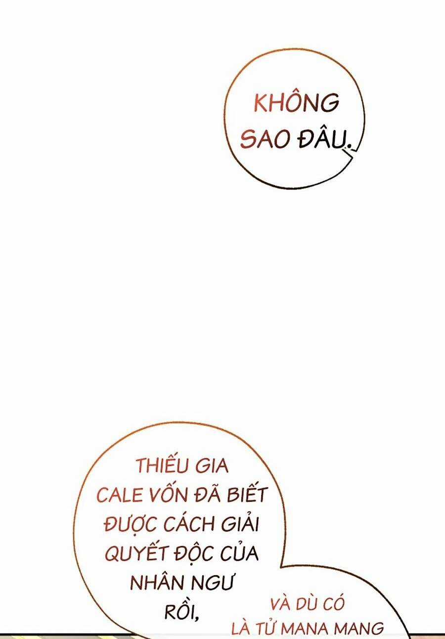 Sự Ra Đời Của Một Anh Hùng Chapter 124 trang 43