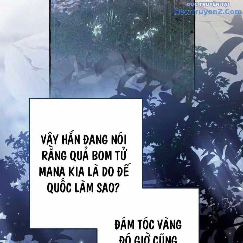 Sự Ra Đời Của Một Anh Hùng Chapter 147 trang 14
