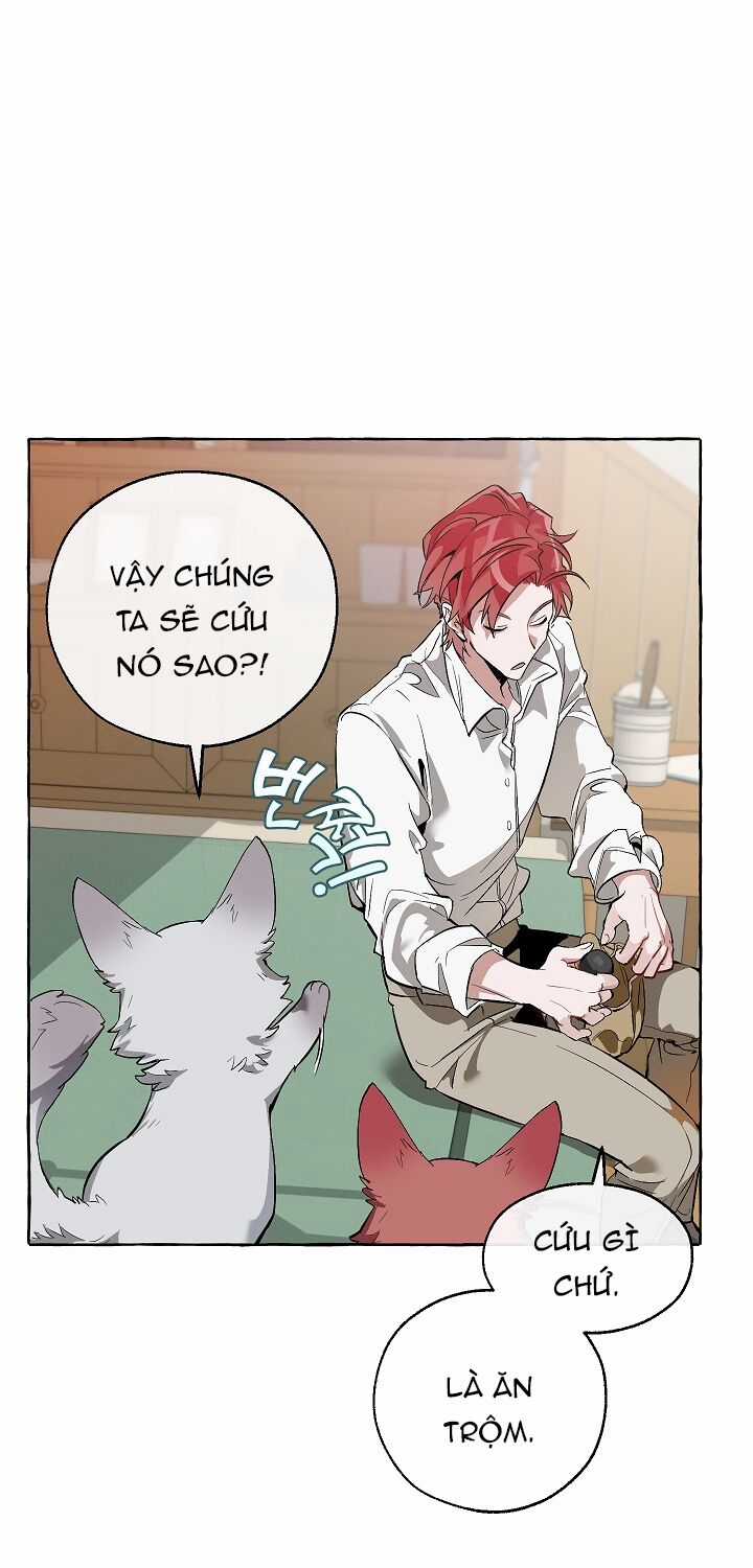 Sự Ra Đời Của Một Anh Hùng Chapter 16 trang 47