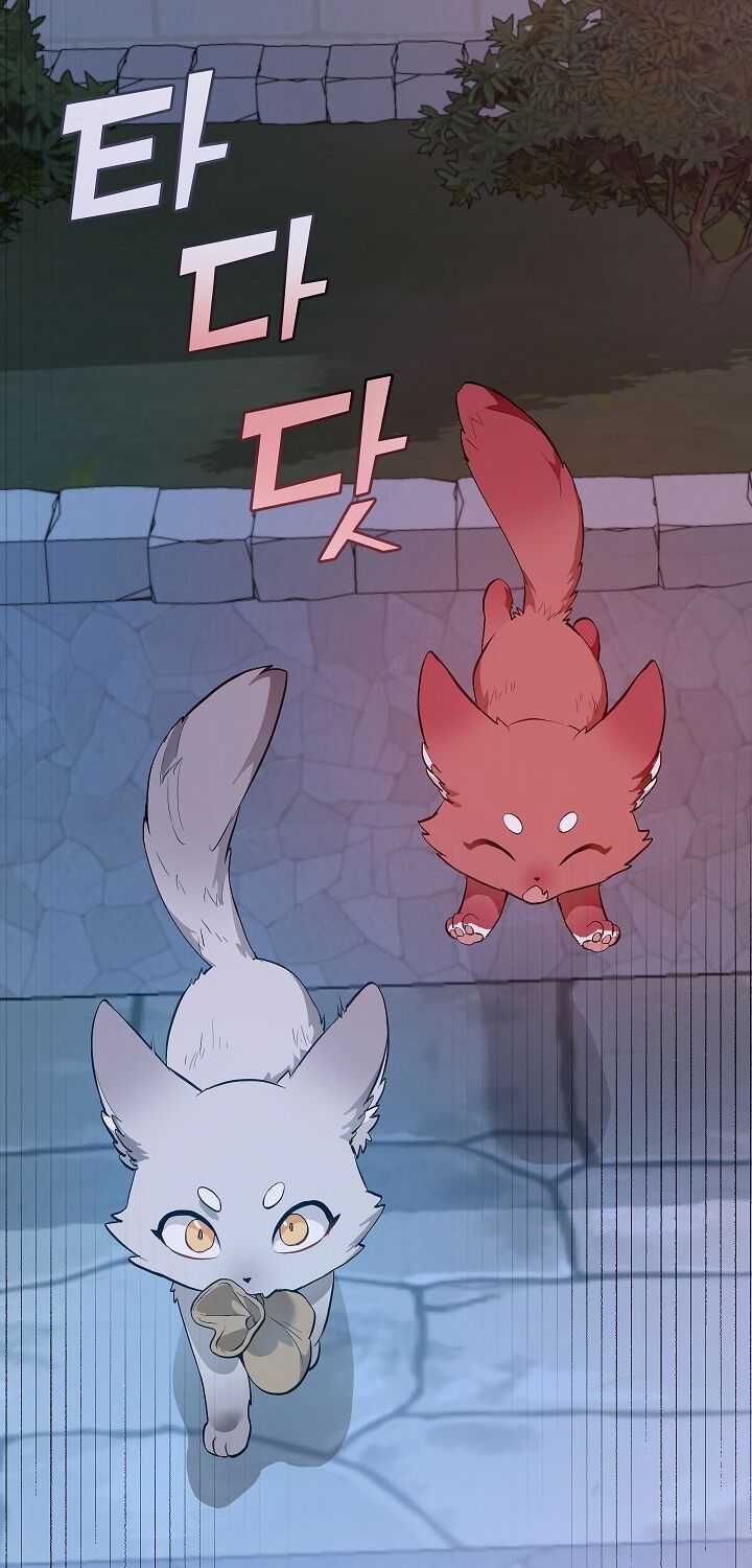 Sự Ra Đời Của Một Anh Hùng Chapter 16 trang 55