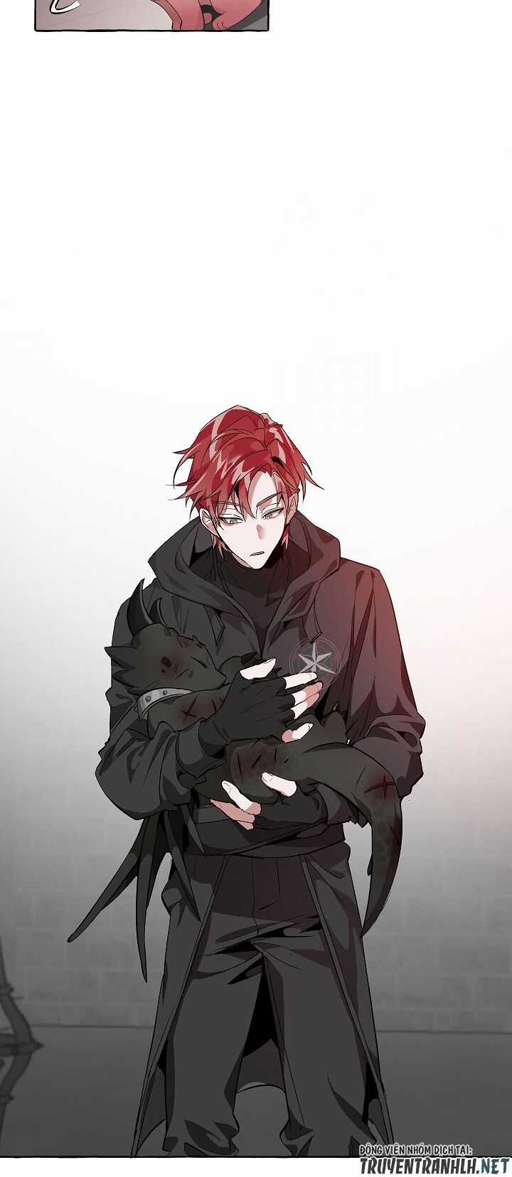 Sự Ra Đời Của Một Anh Hùng Chapter 19 trang 10