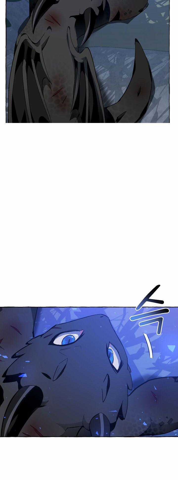 Sự Ra Đời Của Một Anh Hùng Chapter 19 trang 50