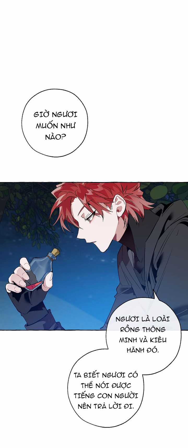 Sự Ra Đời Của Một Anh Hùng Chapter 20 trang 21