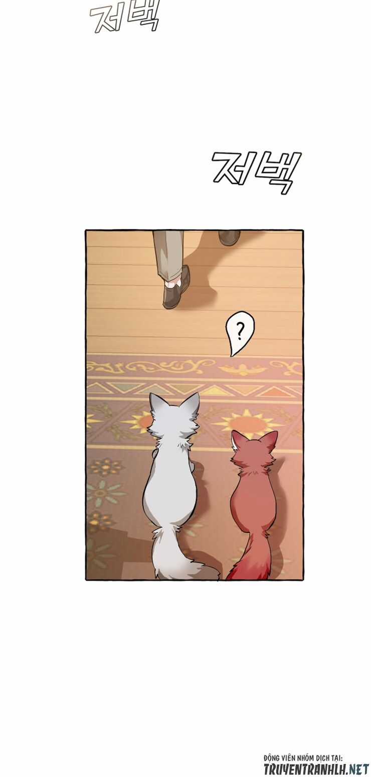 Sự Ra Đời Của Một Anh Hùng Chapter 23 trang 38