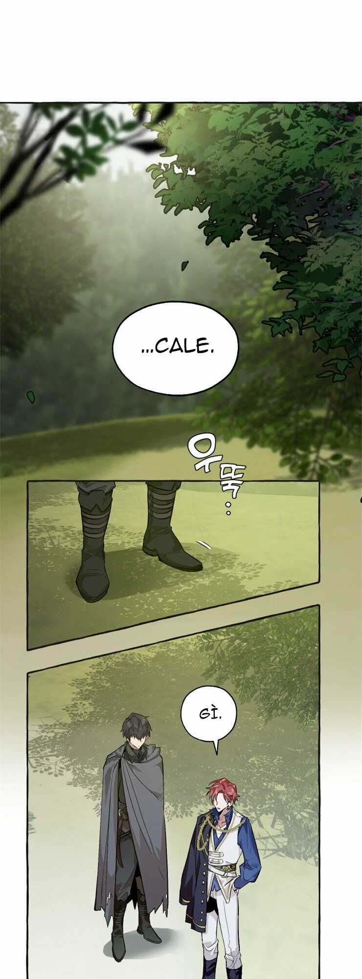 Sự Ra Đời Của Một Anh Hùng Chapter 25 trang 13