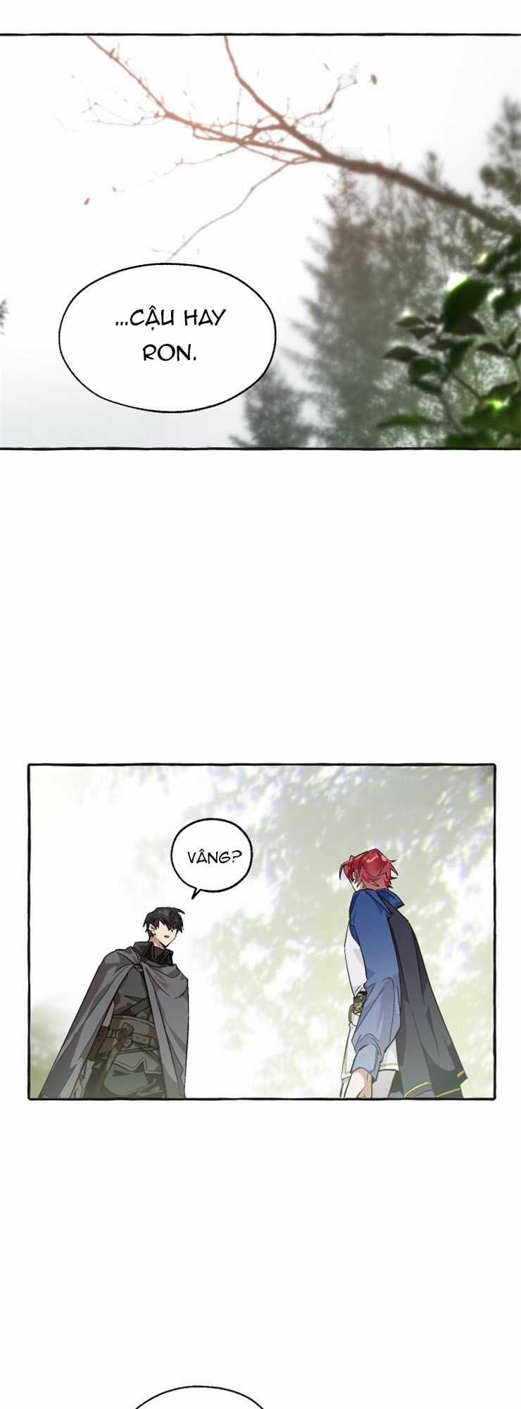 Sự Ra Đời Của Một Anh Hùng Chapter 25 trang 25