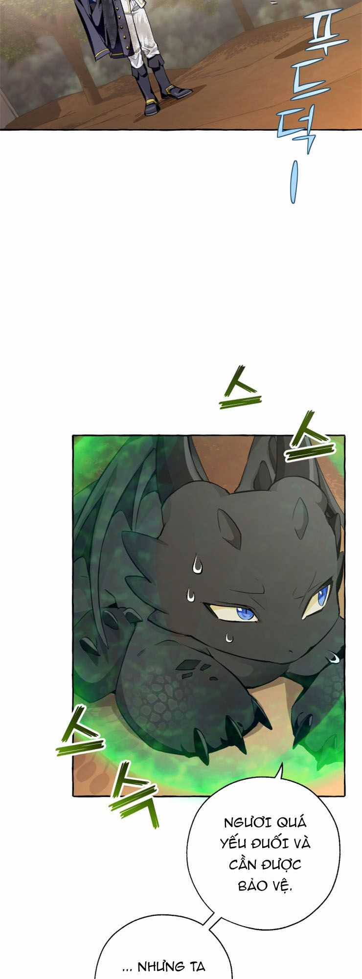 Sự Ra Đời Của Một Anh Hùng Chapter 27 trang 14