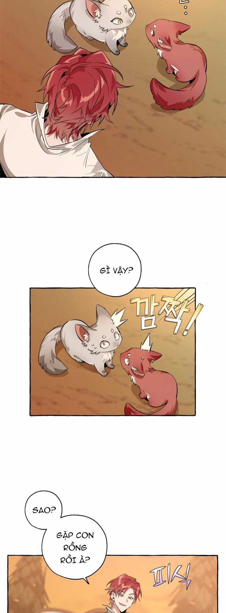 Sự Ra Đời Của Một Anh Hùng Chapter 28 trang 26