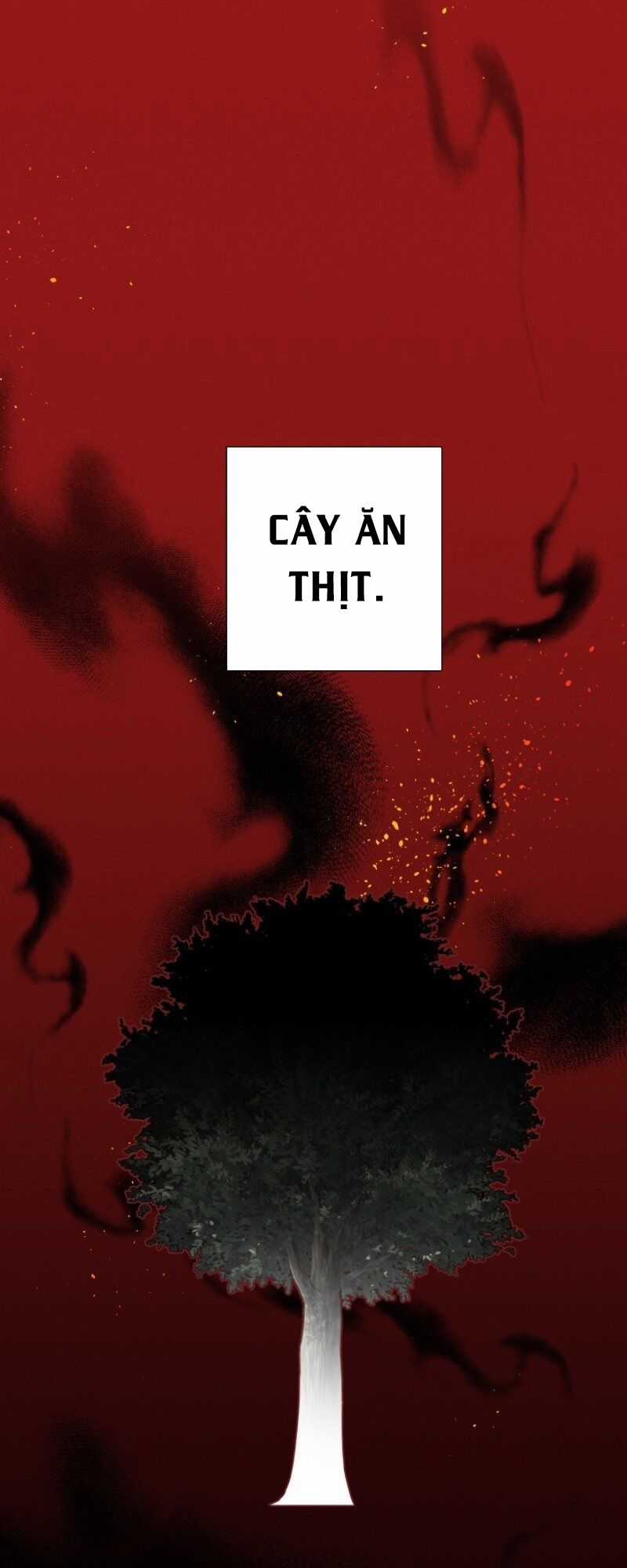 Sự Ra Đời Của Một Anh Hùng Chapter 3 trang 25