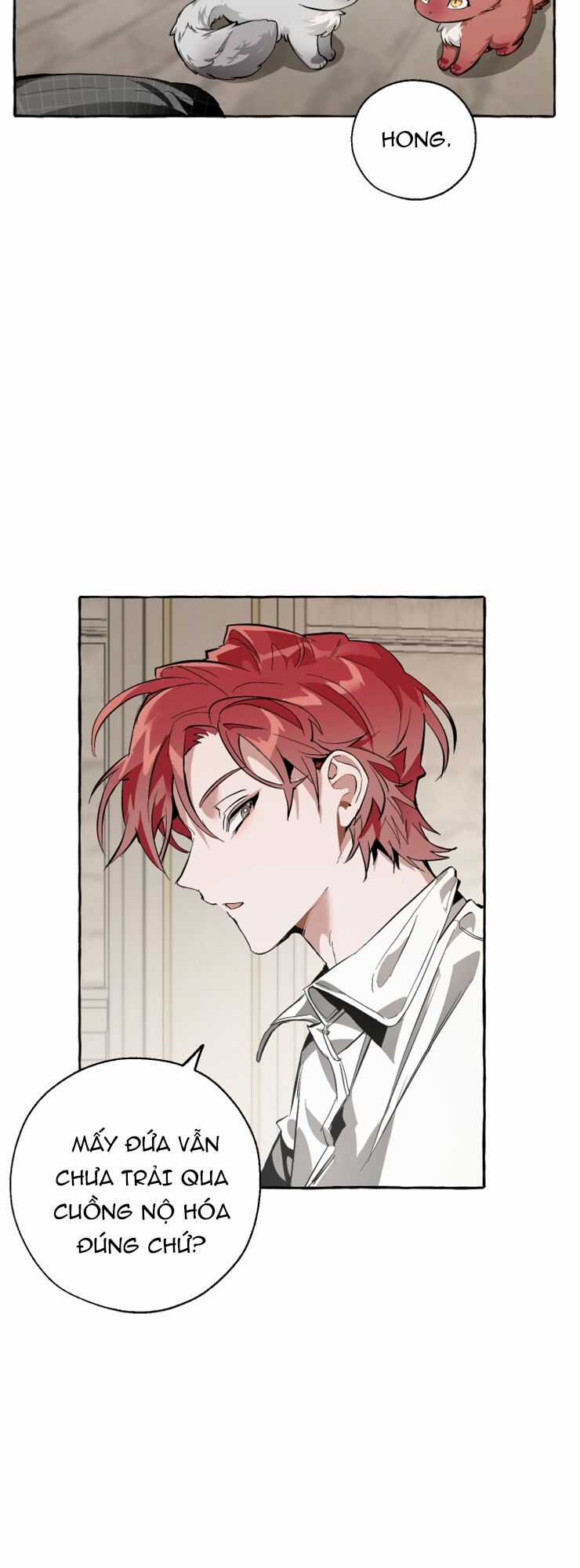 Sự Ra Đời Của Một Anh Hùng Chapter 34 trang 10