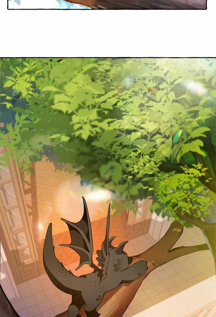 Sự Ra Đời Của Một Anh Hùng Chapter 39 trang 10