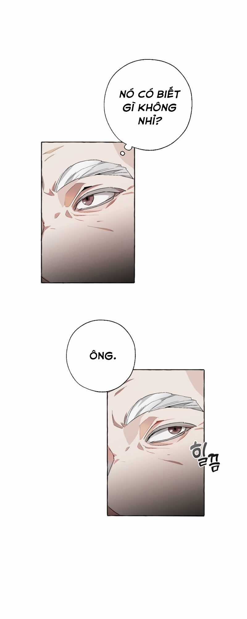 Sự Ra Đời Của Một Anh Hùng Chapter 6 trang 38