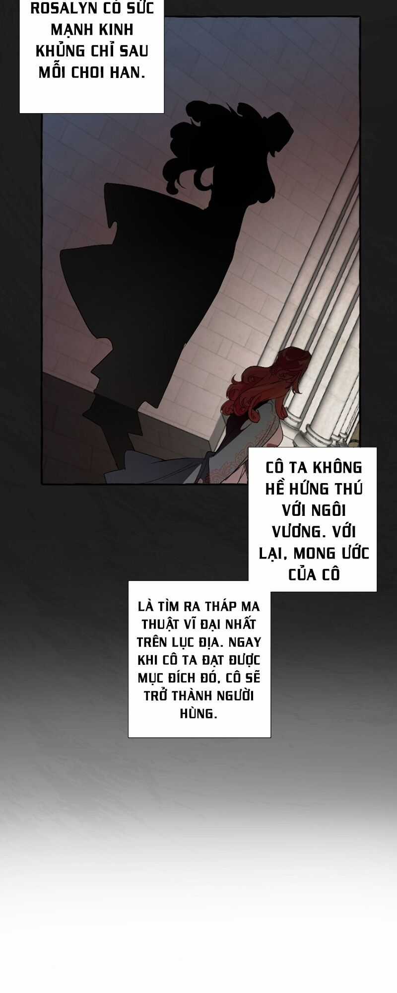 Sự Ra Đời Của Một Anh Hùng Chapter 8 trang 27