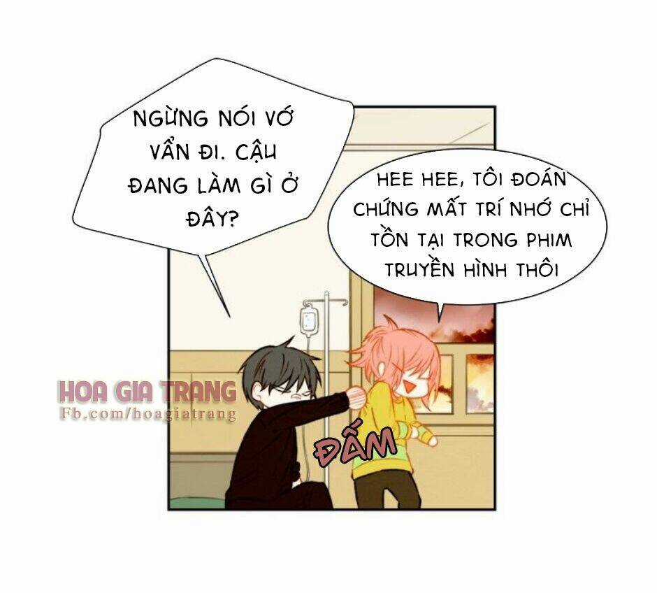 Sự Sao Chép Chapter 41 trang 23