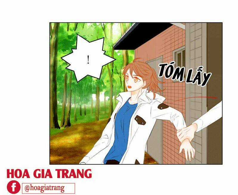 Sự Sao Chép Chapter 60 trang 55