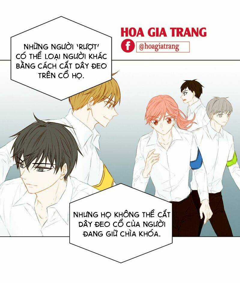 Sự Sao Chép Chapter 61 trang 21