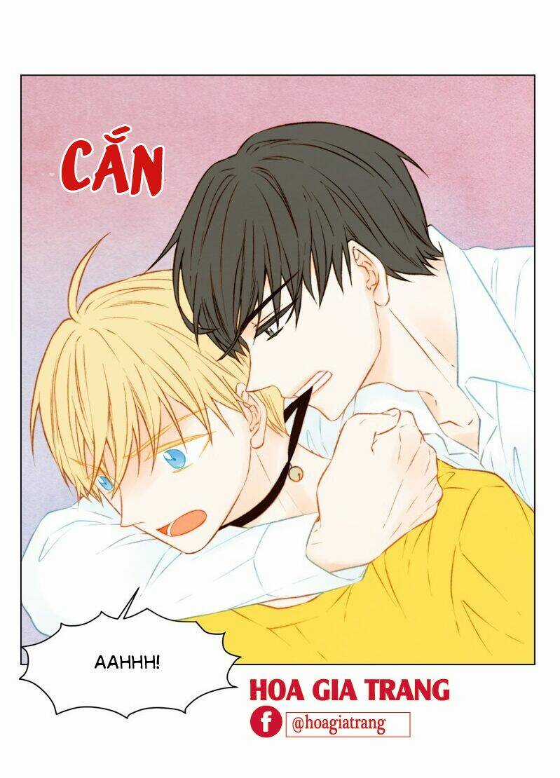 Sự Sao Chép Chapter 61 trang 46