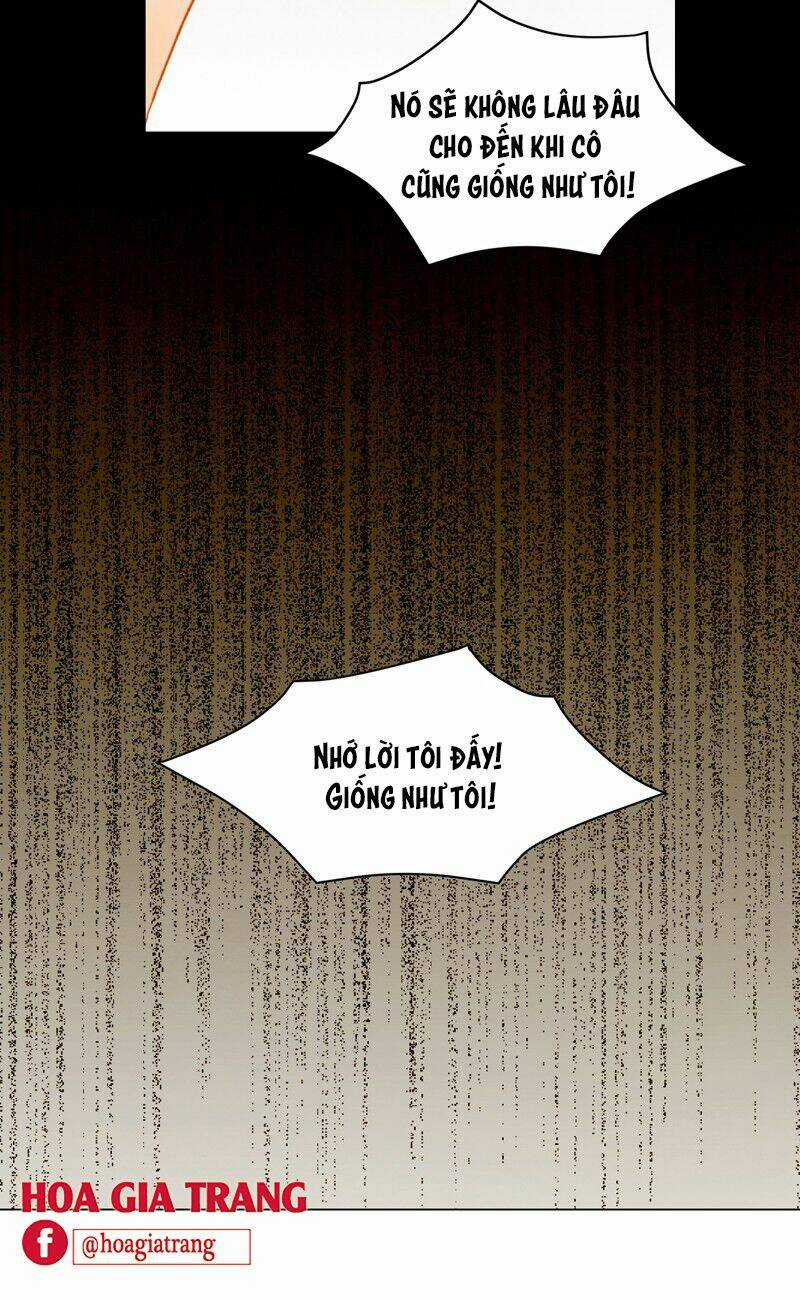 Sự Sao Chép Chapter 67 trang 52