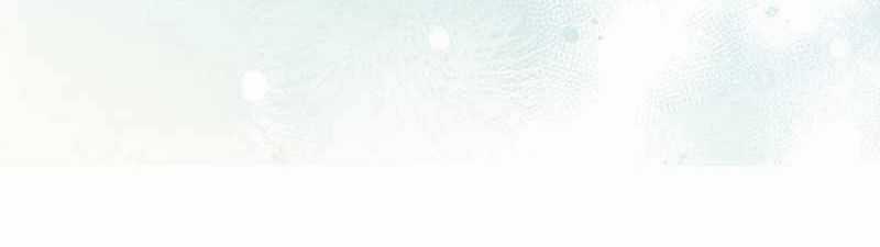 Sự Tái Sinh Của Nhà Thiết Kế Tài Ba Chương 41 trang 81