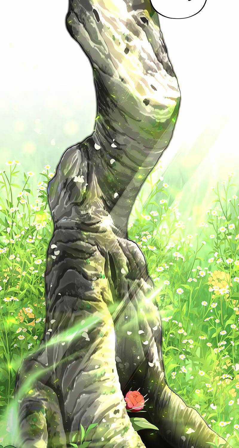 Sự Thức Tỉnh Của Hắc Ma Pháp Sư Sau 66666 Năm Chương 129 trang 49