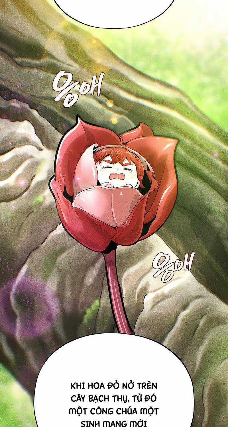 Sự Thức Tỉnh Của Hắc Ma Pháp Sư Sau 66666 Năm Chương 130 trang 13