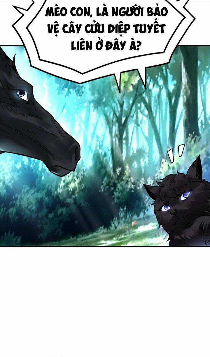 Sư Tổ Của Ta Là Thiên Hạ Đệ Nhất Chapter 19 trang 32