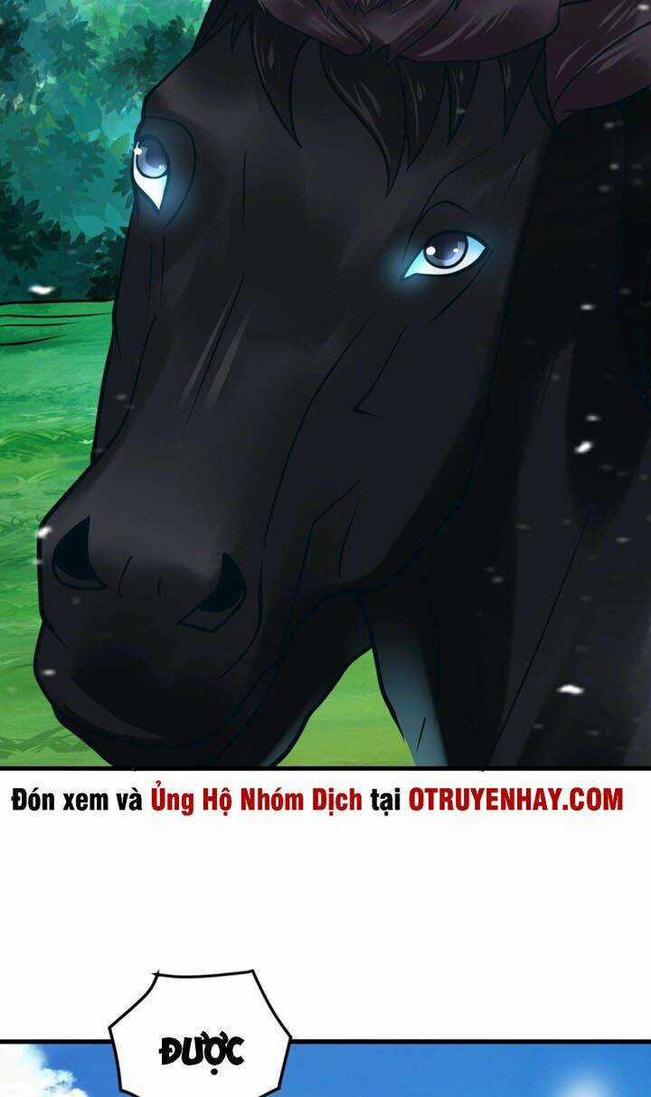 Sư Tổ Của Ta Là Thiên Hạ Đệ Nhất Chapter 20 trang 60