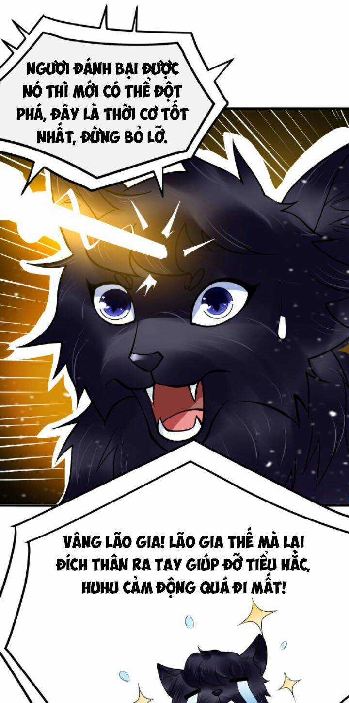 Sư Tổ Của Ta Là Thiên Hạ Đệ Nhất Chapter 30 trang 21