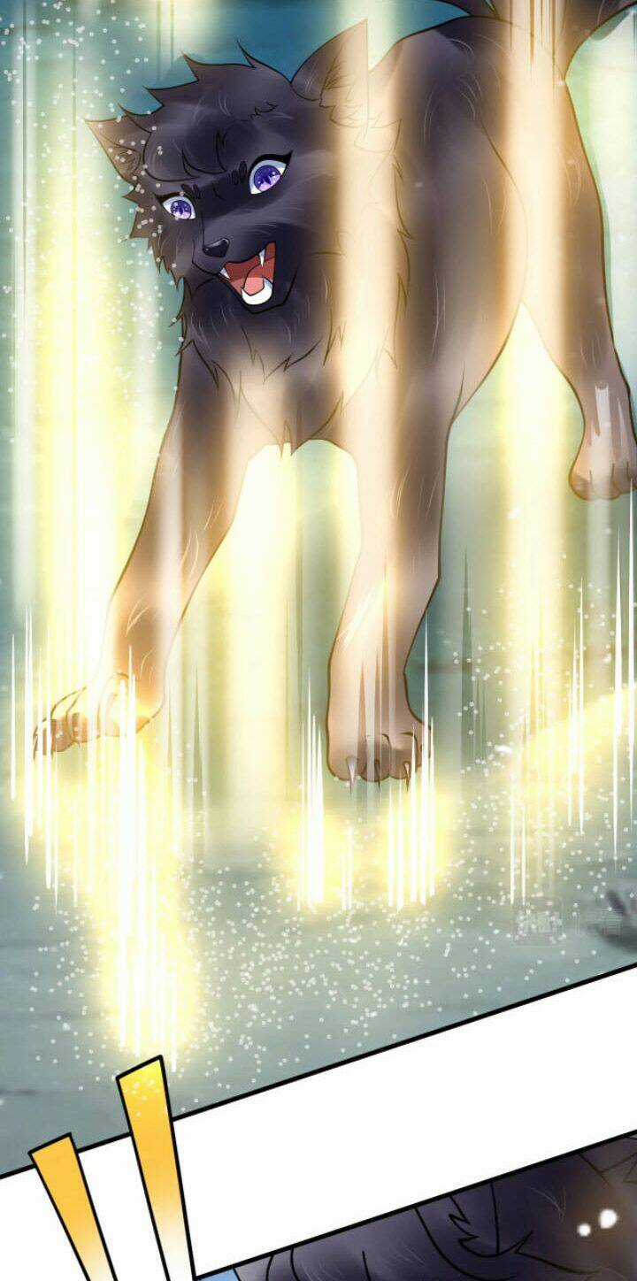 Sư Tổ Của Ta Là Thiên Hạ Đệ Nhất Chapter 30 trang 35