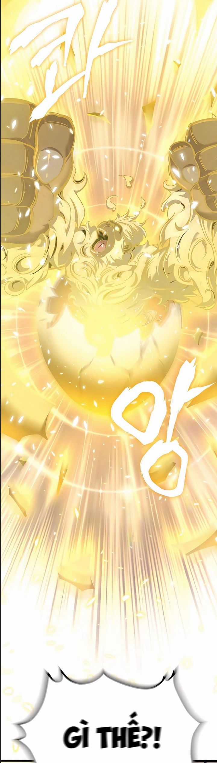 Sư Tôn Của Ta Luôn Dõi Theo Chương 19 trang 7