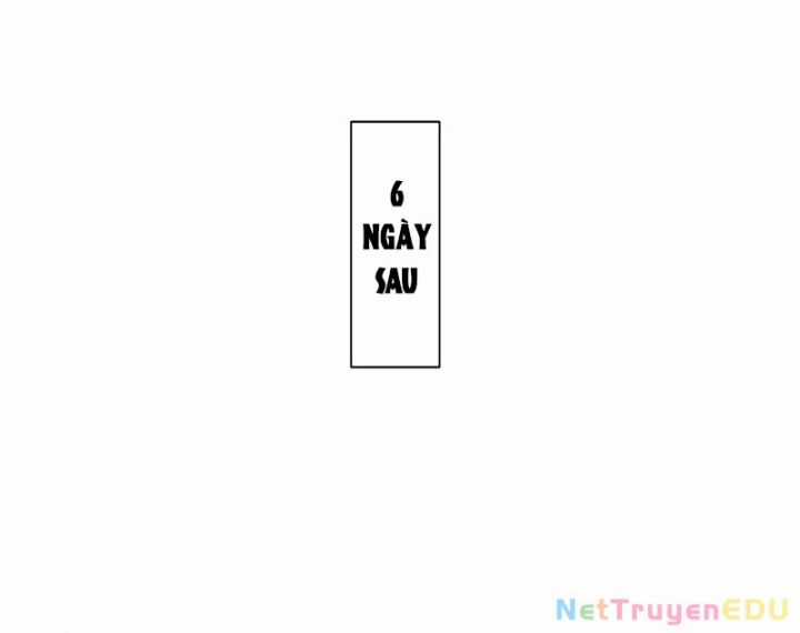 Sư Tôn: Nghịch Đồ Này Không Phải Là Thánh Tử Chapter 113 trang 104