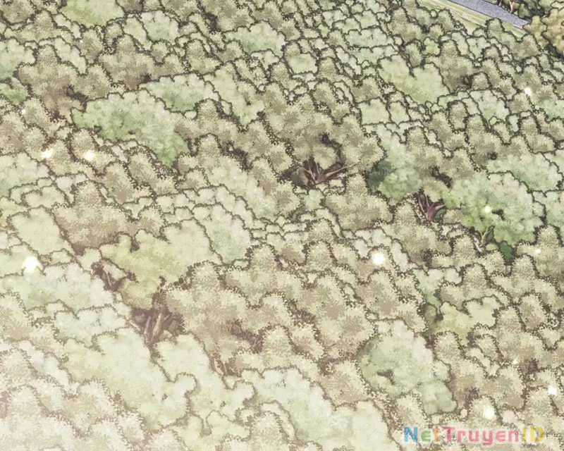 Sư Tôn: Nghịch Đồ Này Không Phải Là Thánh Tử Chapter 116 trang 114