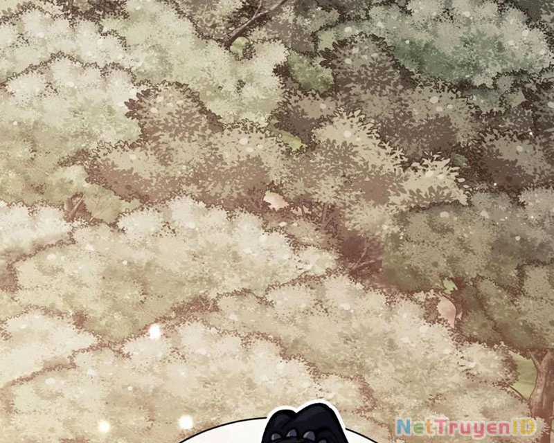 Sư Tôn: Nghịch Đồ Này Không Phải Là Thánh Tử Chapter 116 trang 141