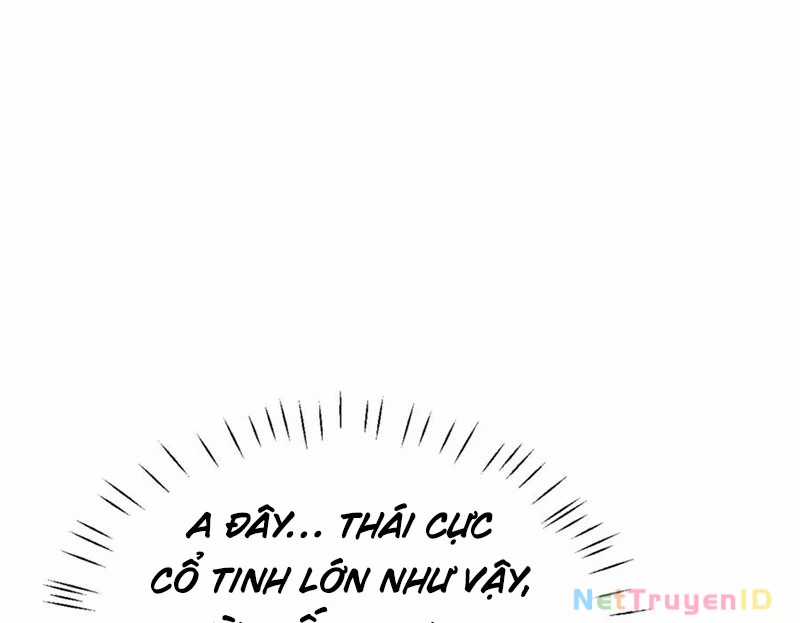 Sư Tôn: Nghịch Đồ Này Không Phải Là Thánh Tử Chapter 116 trang 6