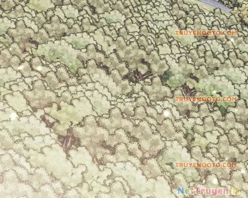 Sư Tôn: Nghịch Đồ Này Mới Không Phải Là Thánh Tử Chương 116 trang 114