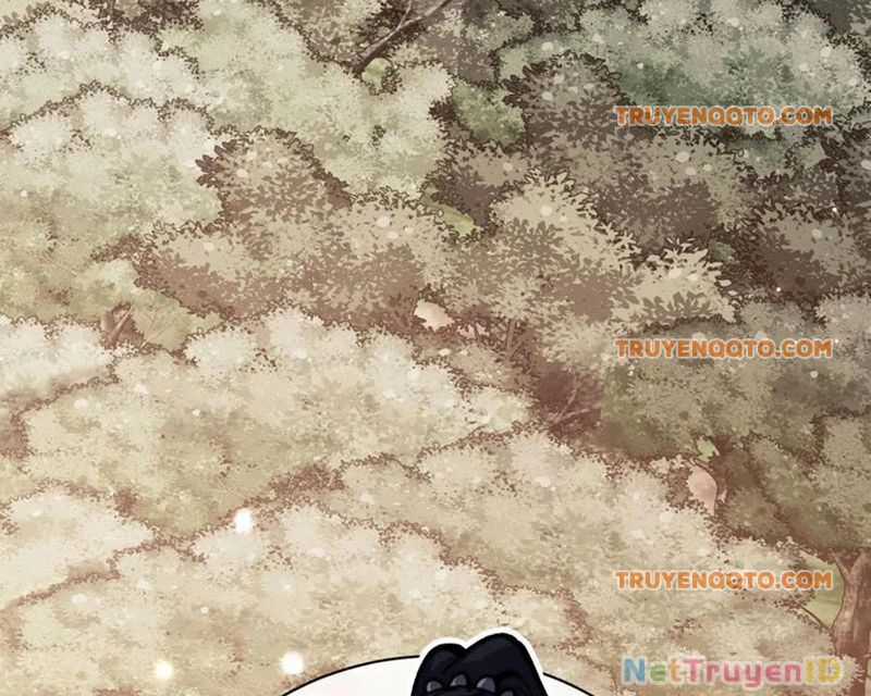 Sư Tôn: Nghịch Đồ Này Mới Không Phải Là Thánh Tử Chương 116 trang 141