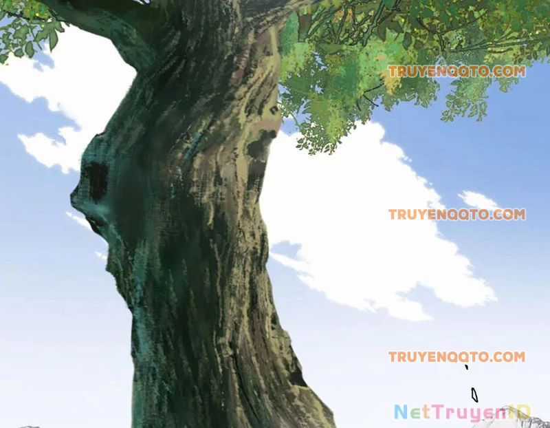 Sư Tôn: Nghịch Đồ Này Mới Không Phải Là Thánh Tử Chương 117 trang 26