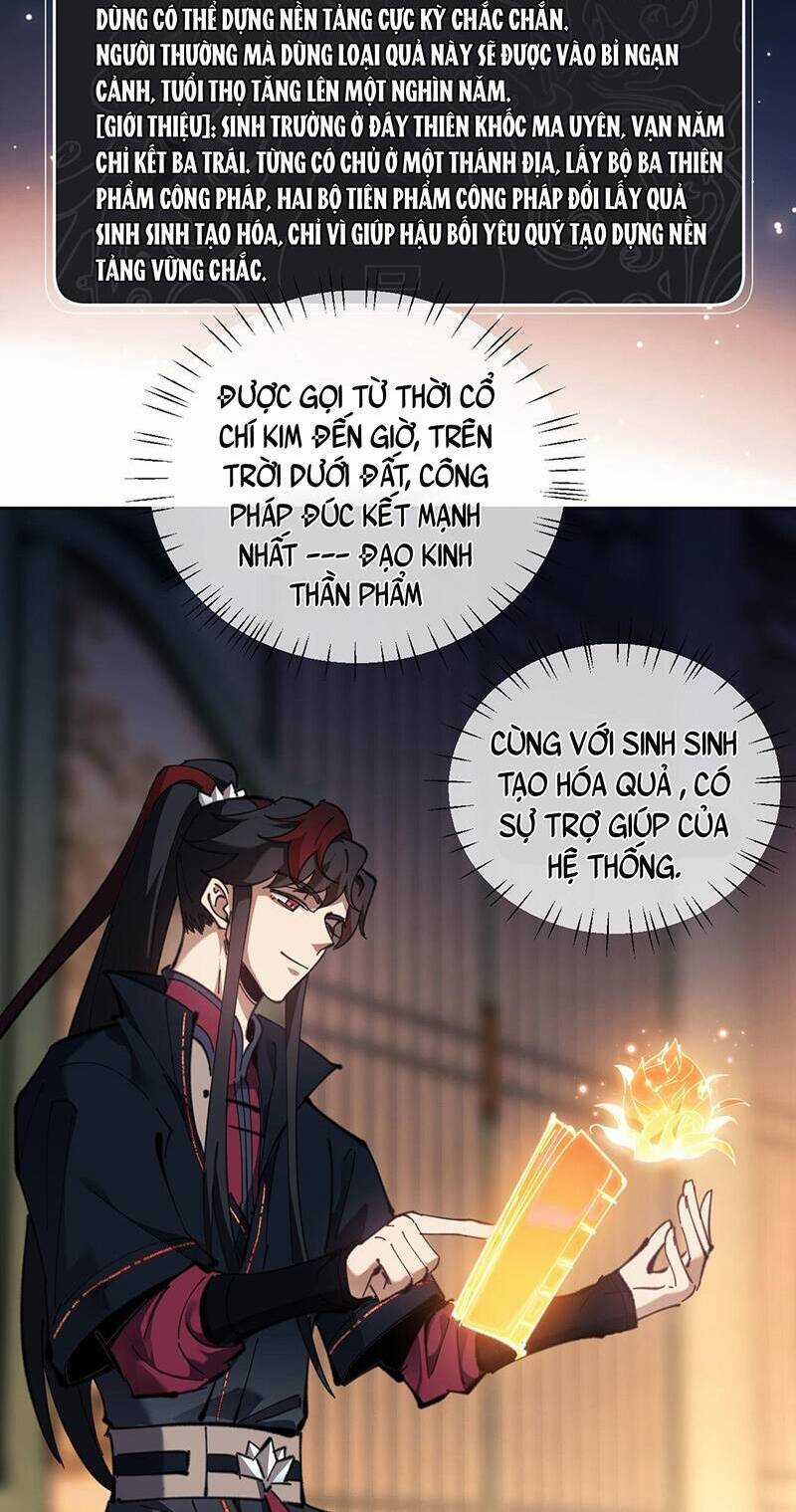 Sư Tôn: Nghịch Đồ Này Mới Không Phải Là Thánh Tử Chương 4 trang 27