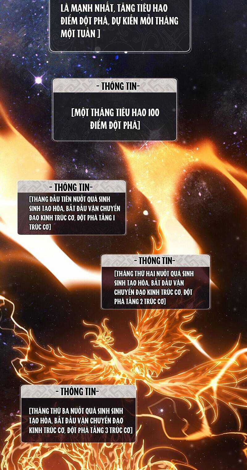 Sư Tôn: Nghịch Đồ Này Mới Không Phải Là Thánh Tử Chương 4 trang 33