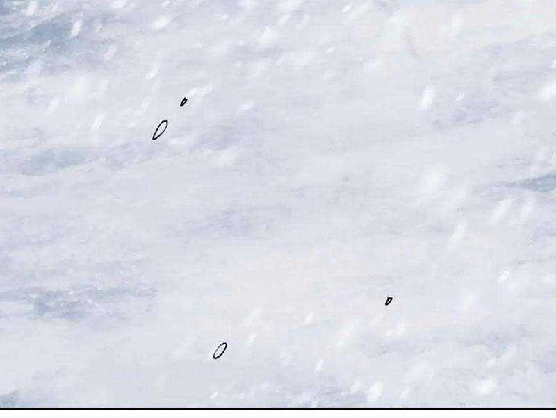 Sư Tôn: Nghịch Đồ Này Mới Không Phải Là Thánh Tử Chương 93 trang 14