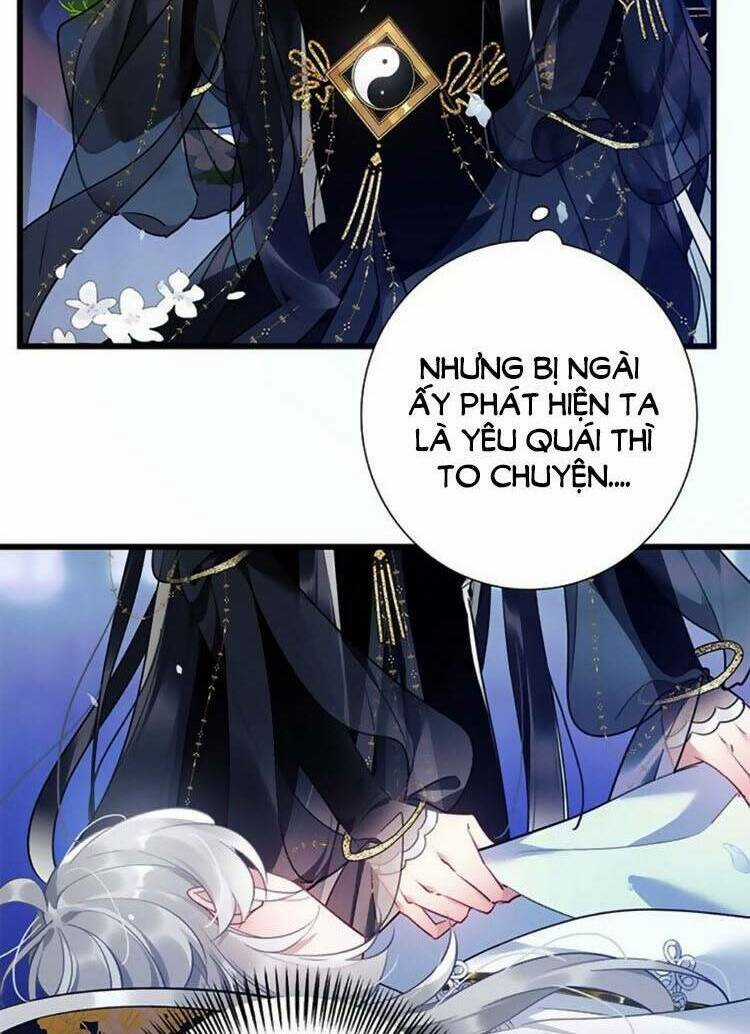 Sư Tôn Người Thật Lắm Chiêu Chapter 5 trang 41