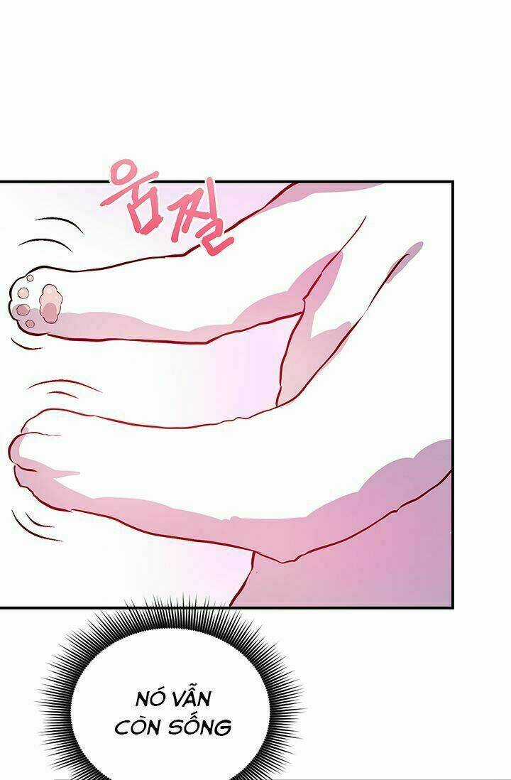 Sự Trả Thù Của Chúa Tể Bóng Tối Chapter 1 trang 56