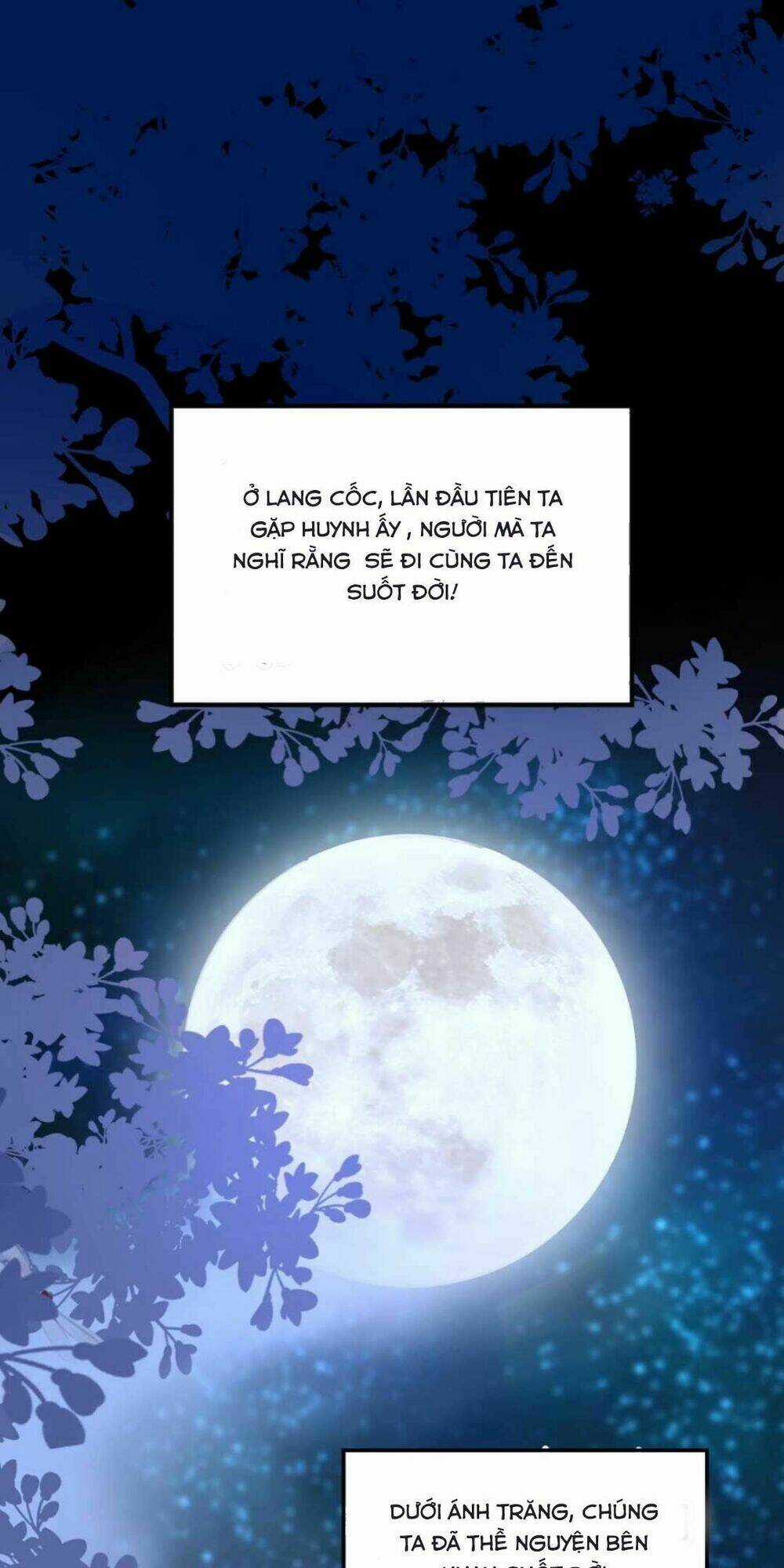 Sự Trả Thù Của Vương Phi Chapter 1 trang 2