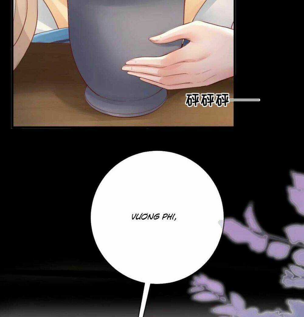 Sự Trả Thù Của Vương Phi Chapter 11 trang 7