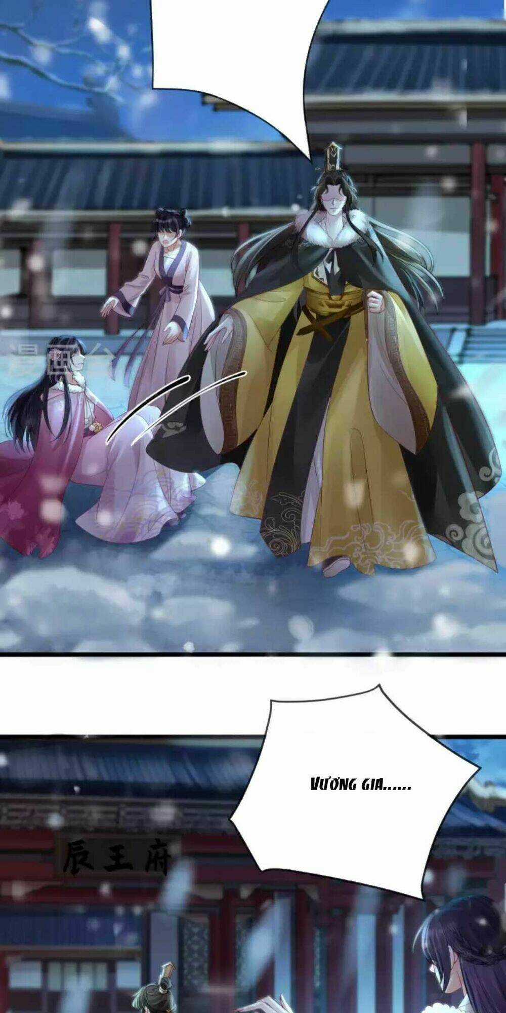 Sự Trả Thù Của Vương Phi Chapter 27 trang 26